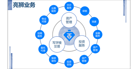 北京亮狮企服科技 信息技术咨询服务的智慧核心